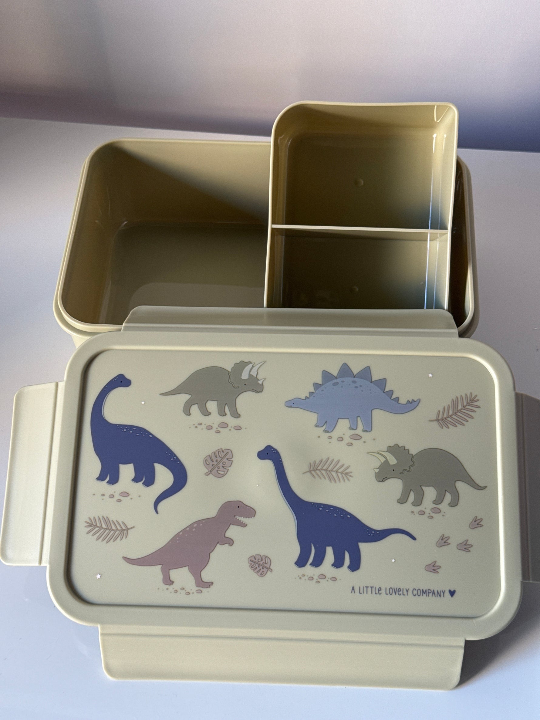 Lunch box dino