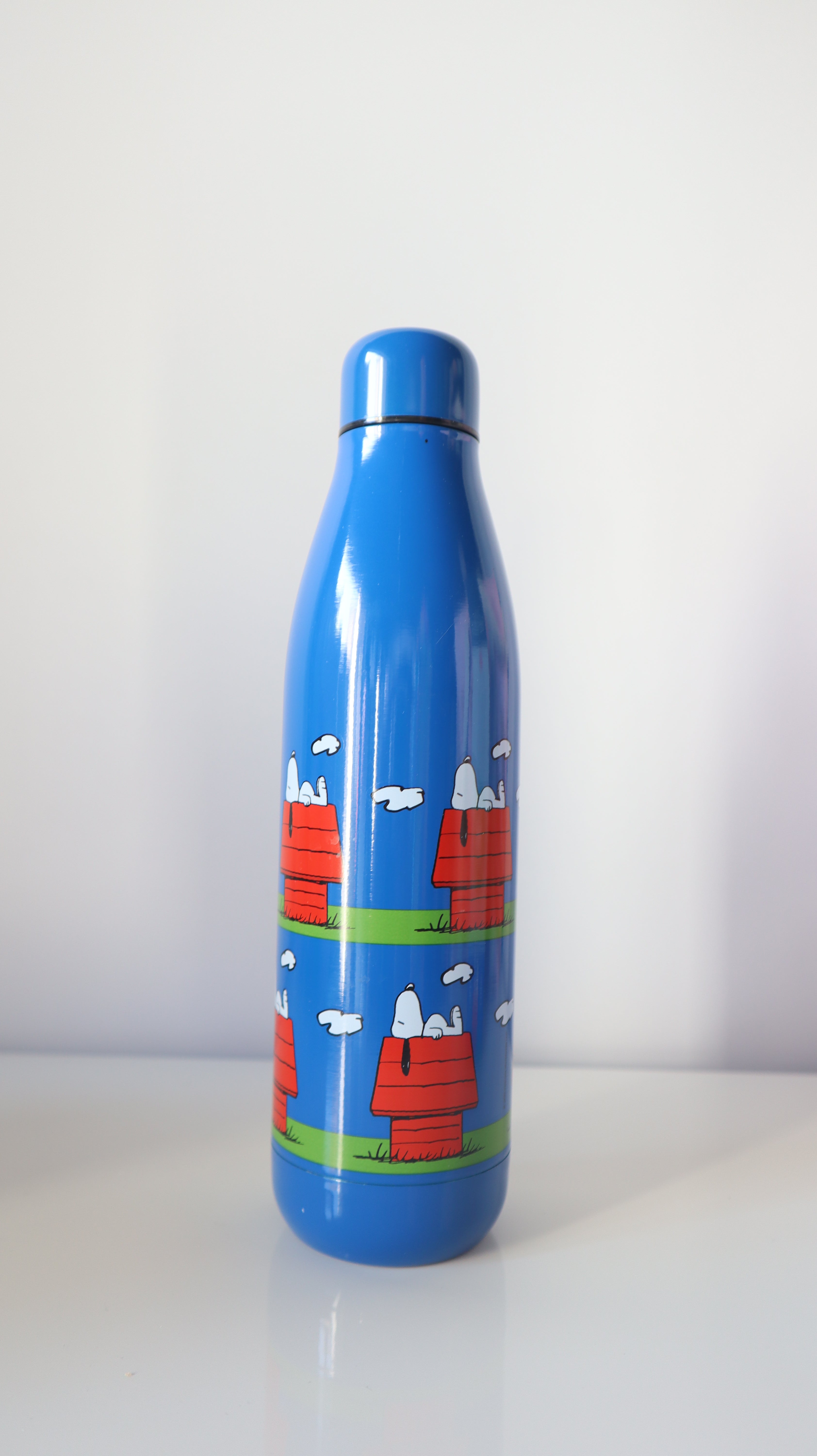 Borraccia termica Peanuts