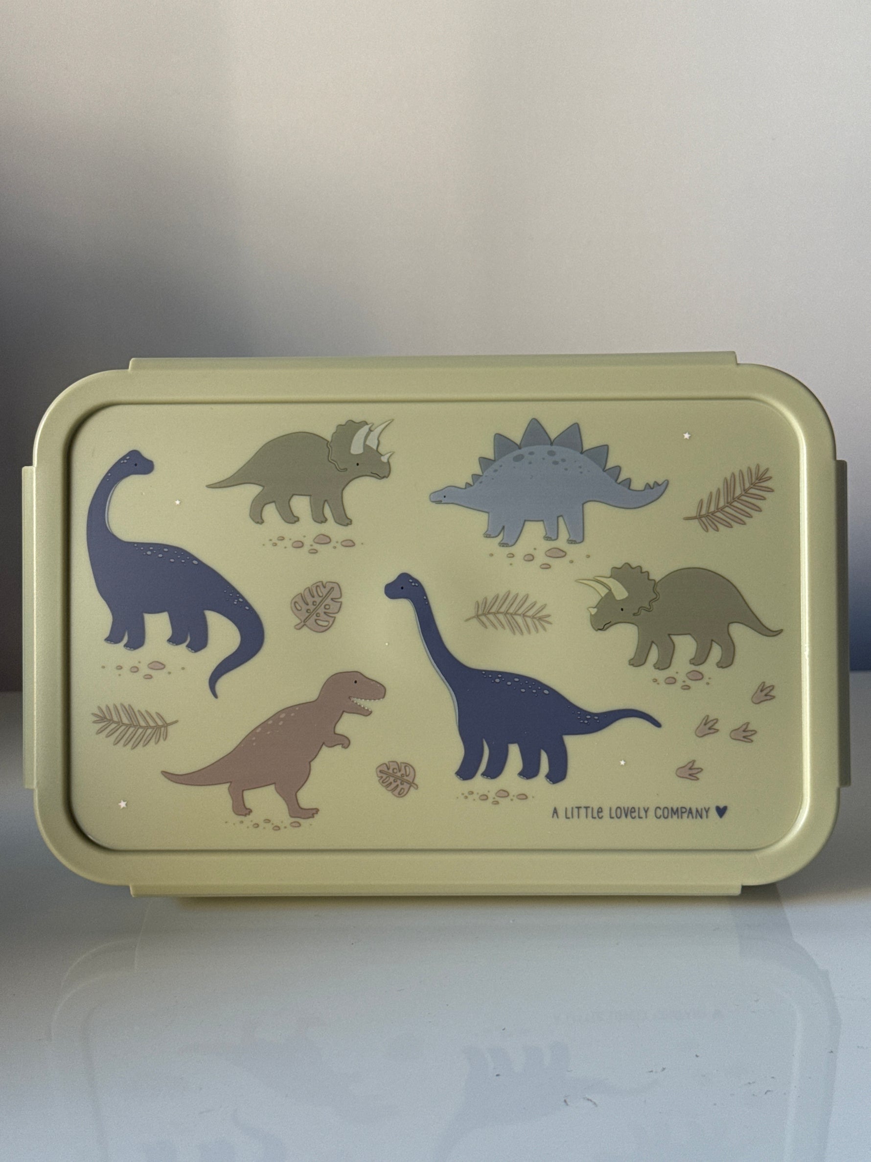 Lunch box dino