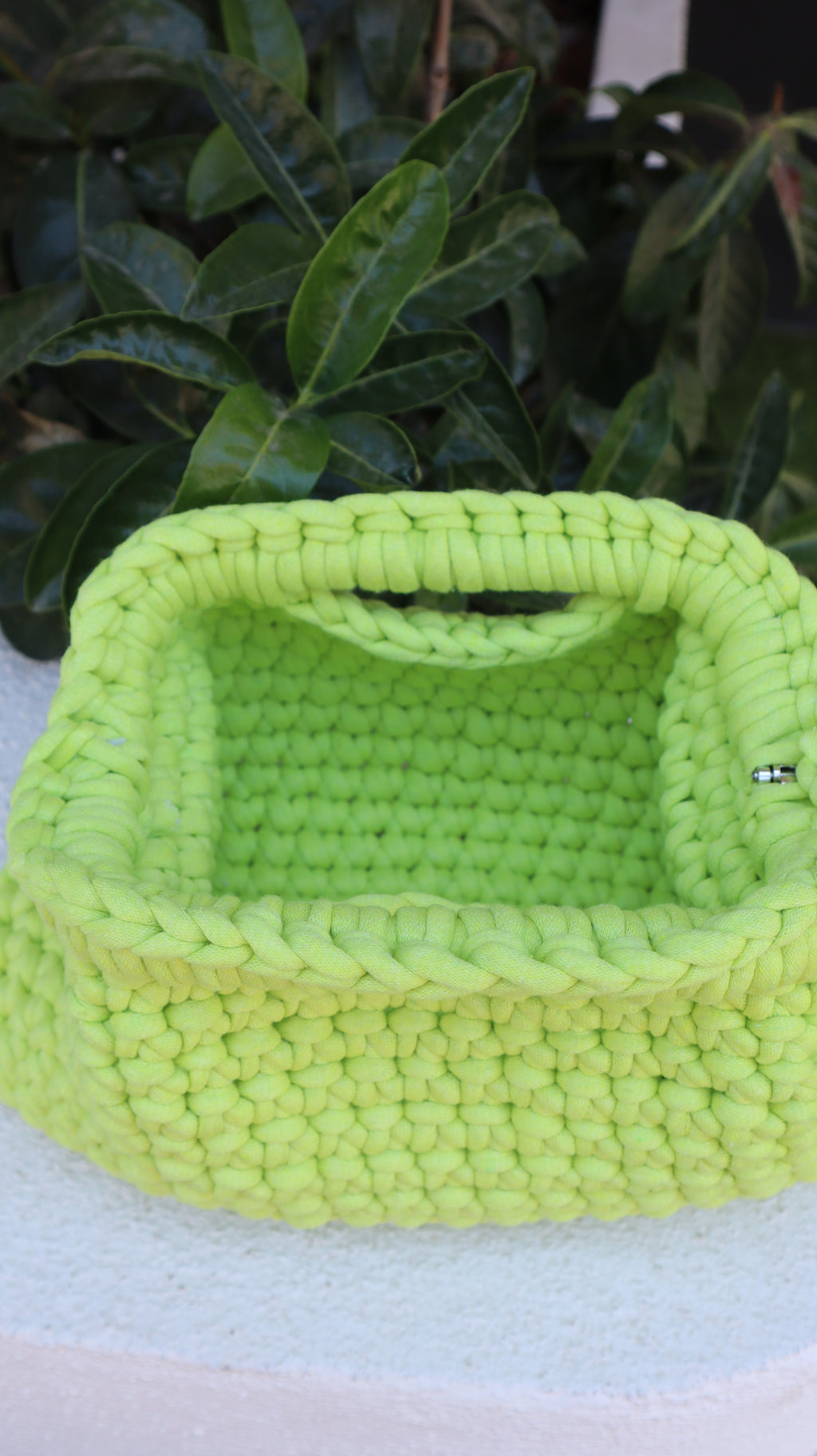 Pochettina verde mela